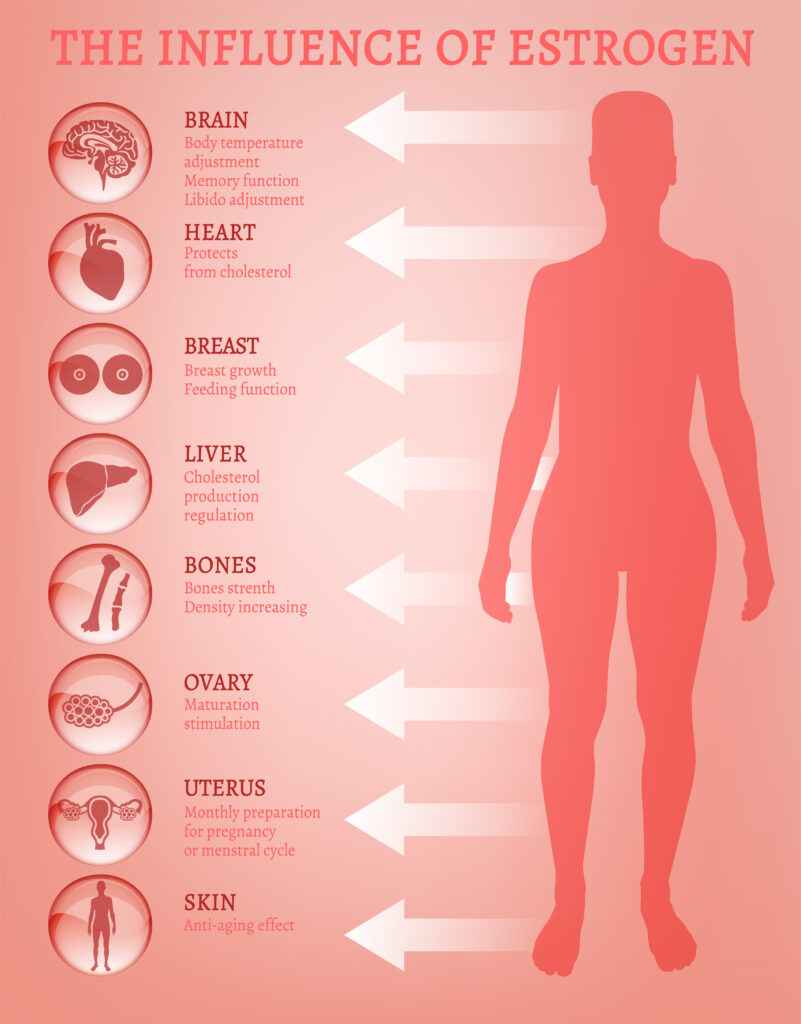 Estrogens Role in Female Health